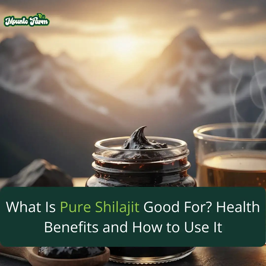 Pure Shilajit