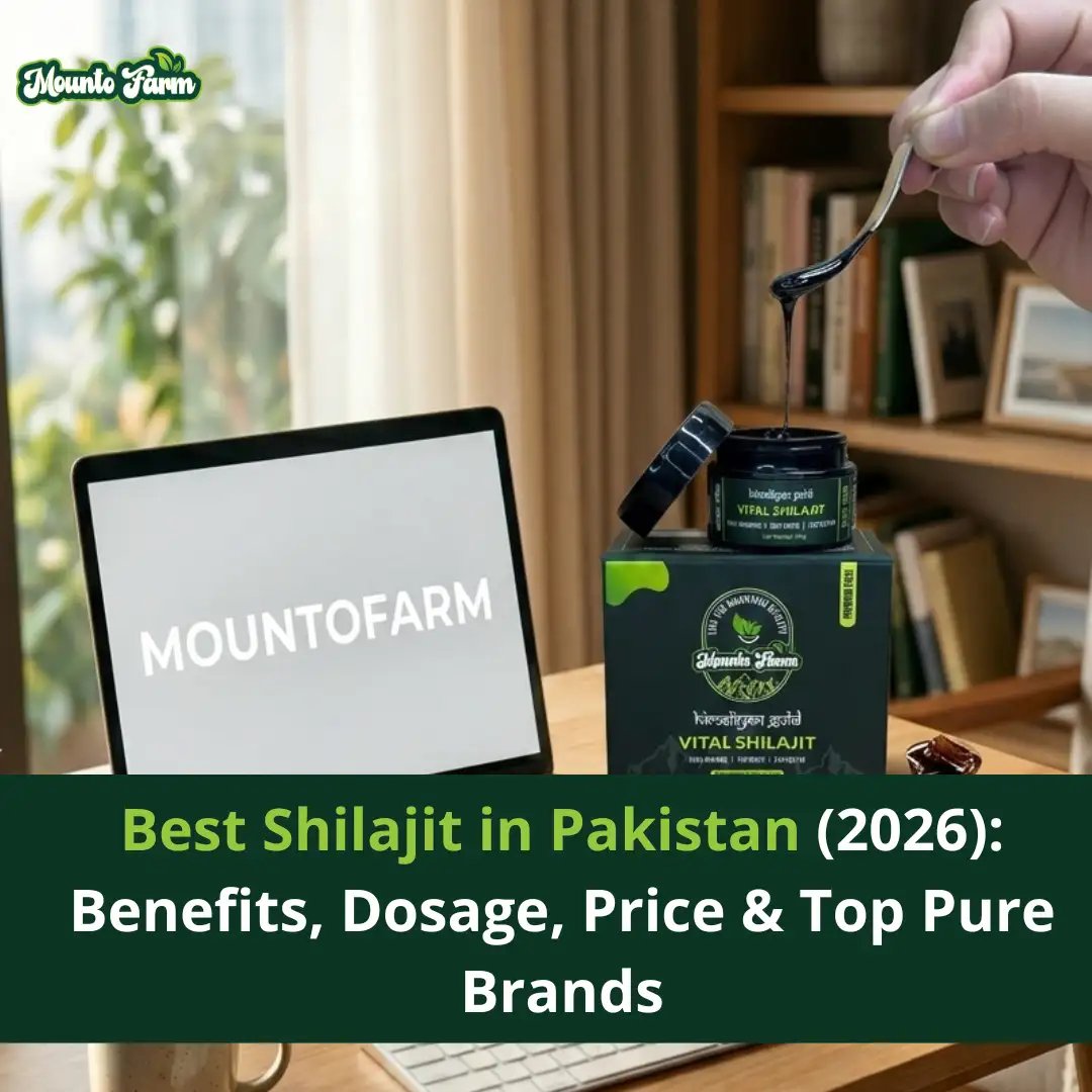 Best Shilajit in Pakistan