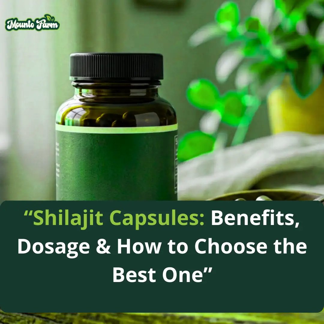 Shilajit Capsules