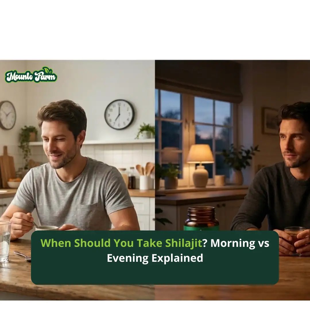 When Should You Take Shilajit