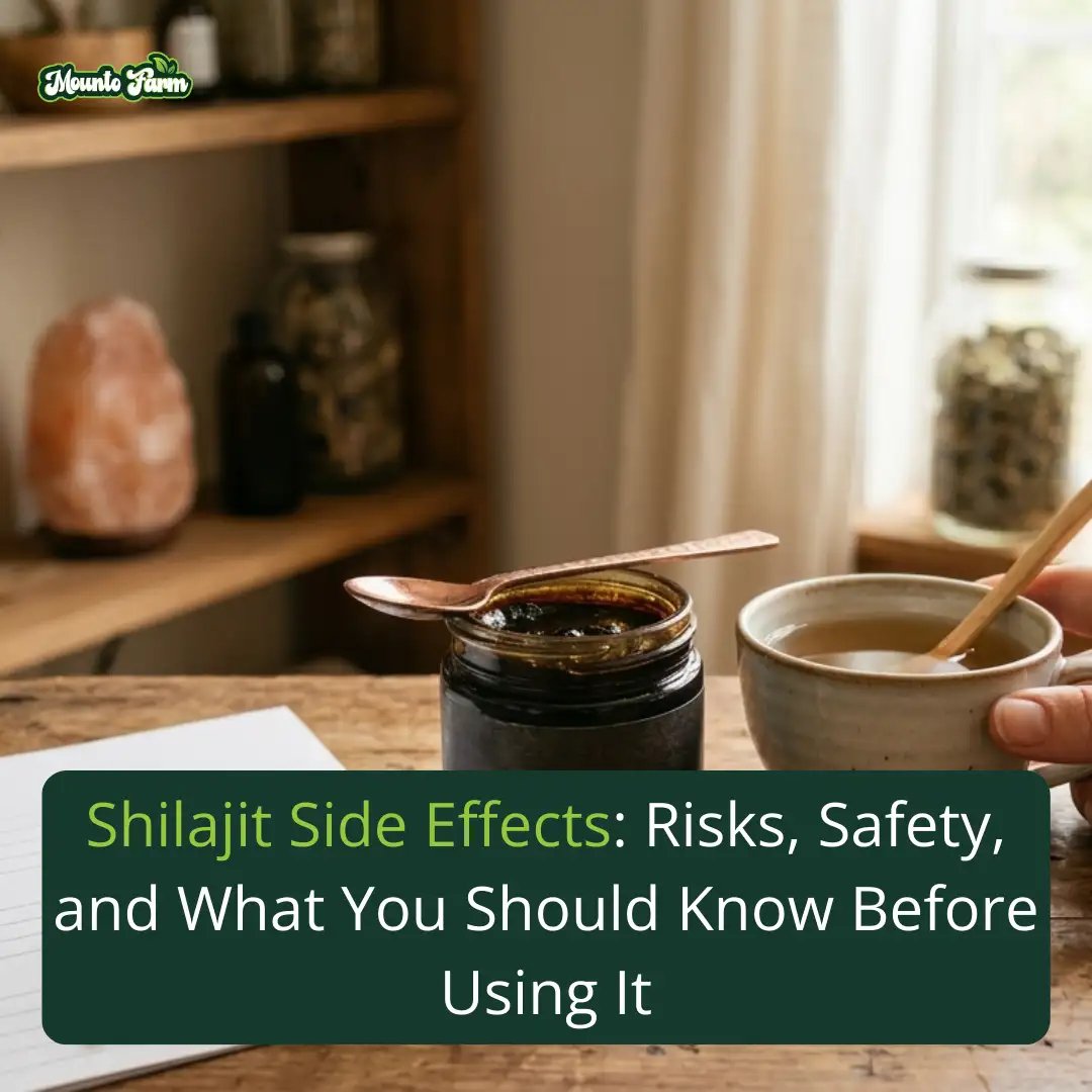 Shilajit Side Effects