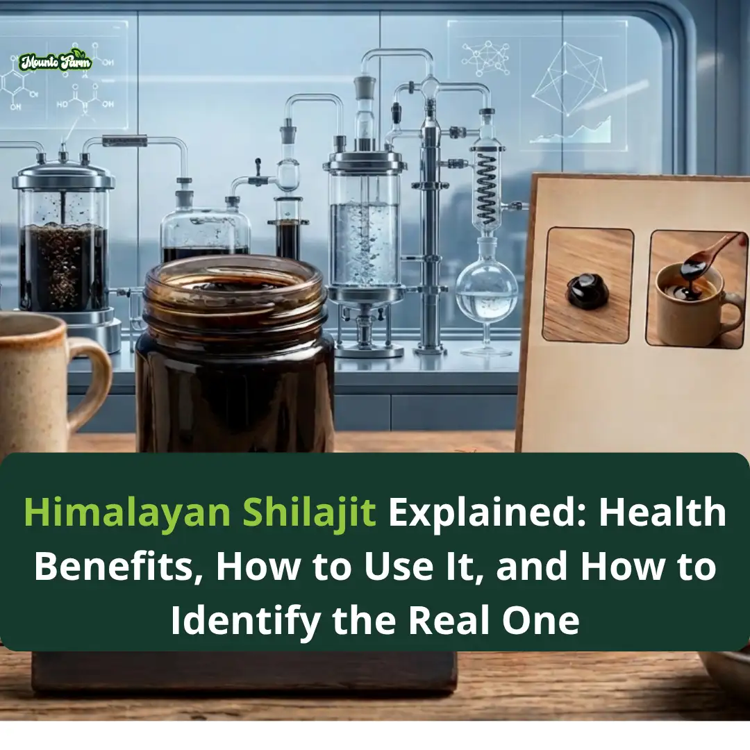 Read more about the article Himalayan Shilajit Explained: Health Benefits, How to Use It, and How to Identify the Real One