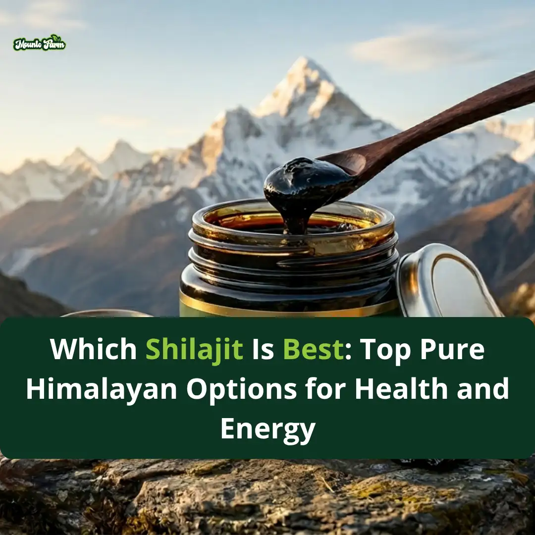 Read more about the article Which Shilajit Is Best: Top Pure Himalayan Options for Health and Energy