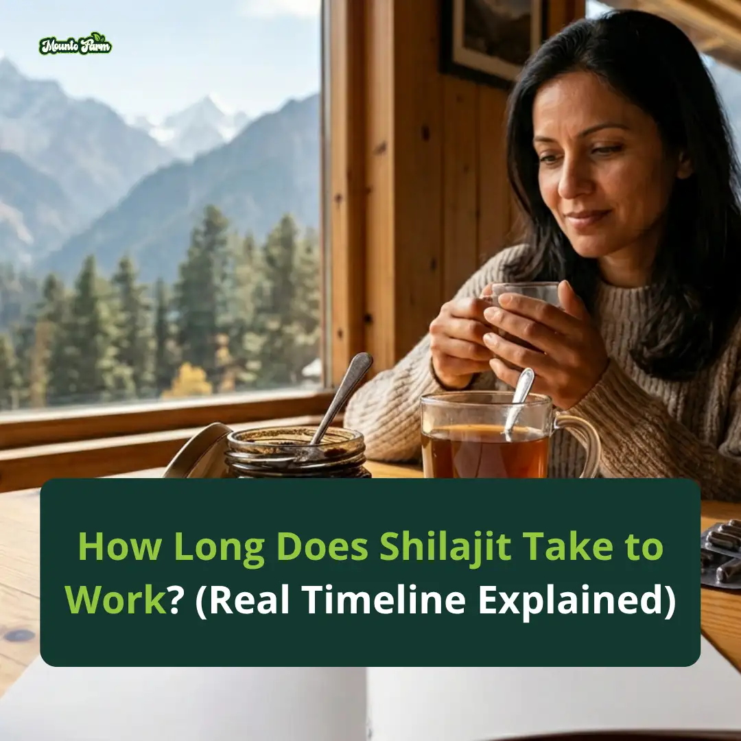 Read more about the article How Long Does Shilajit Take to Work? (Real Timeline Explained)