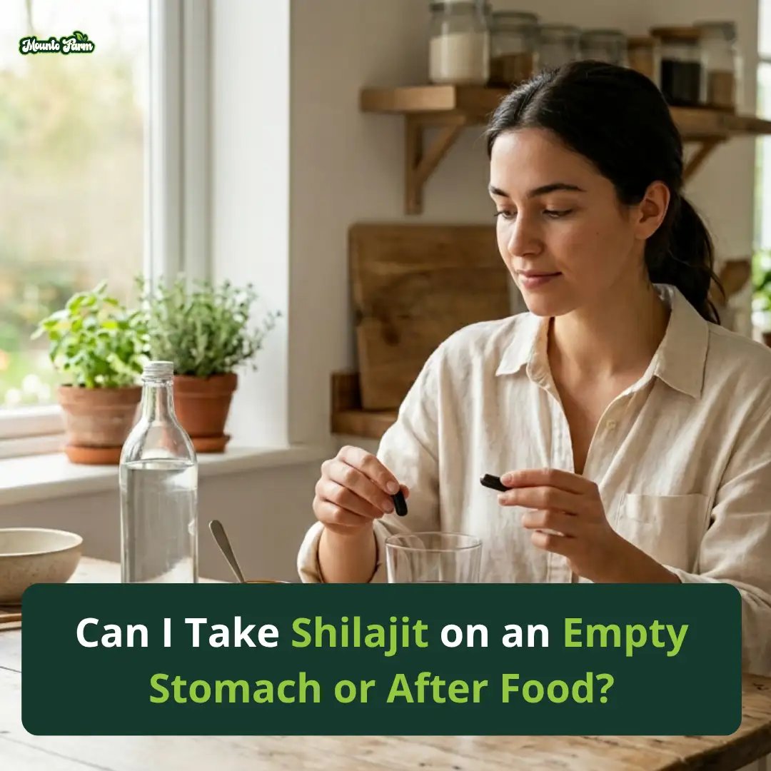 Shilajit empty stomach or after food