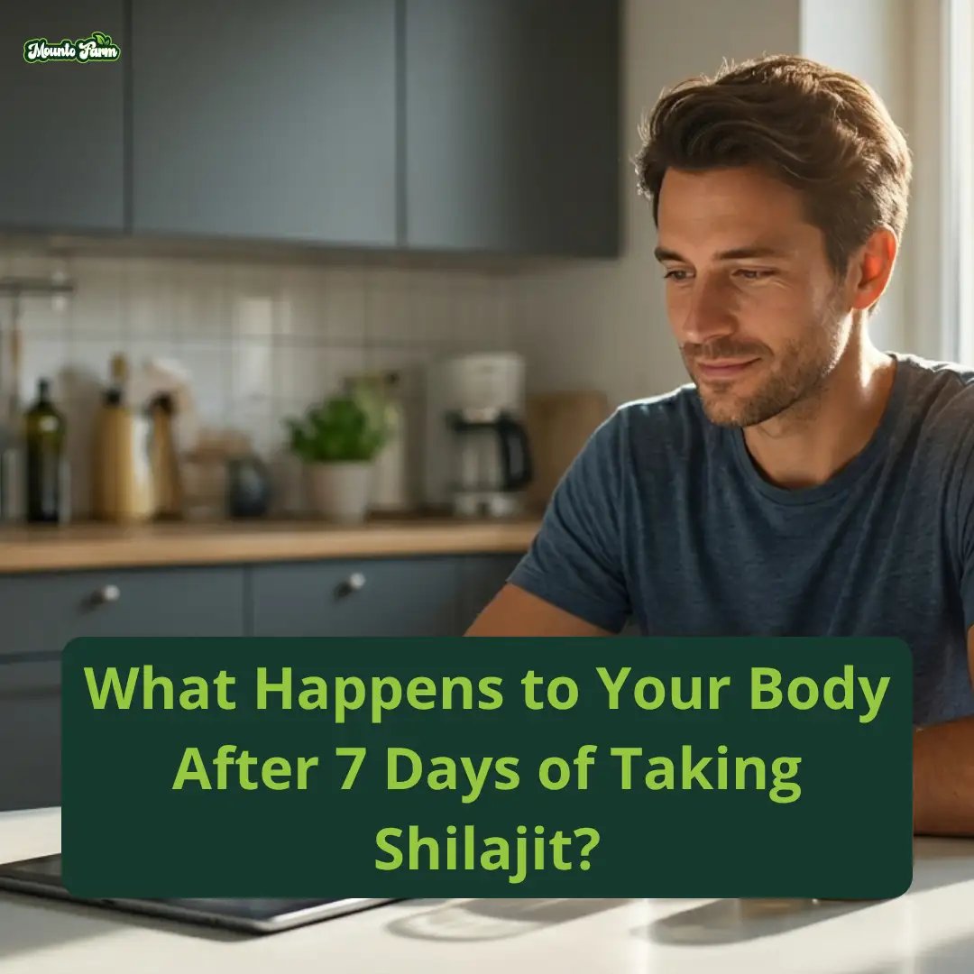 What Happens to Your Body After 7 Days of Taking Shilajit?