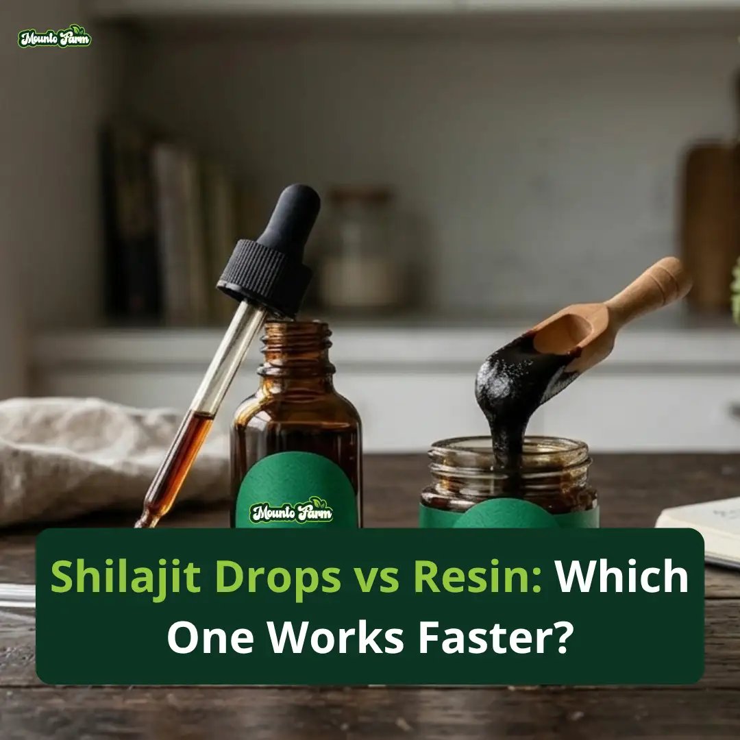 Shilajit Drops vs Resin