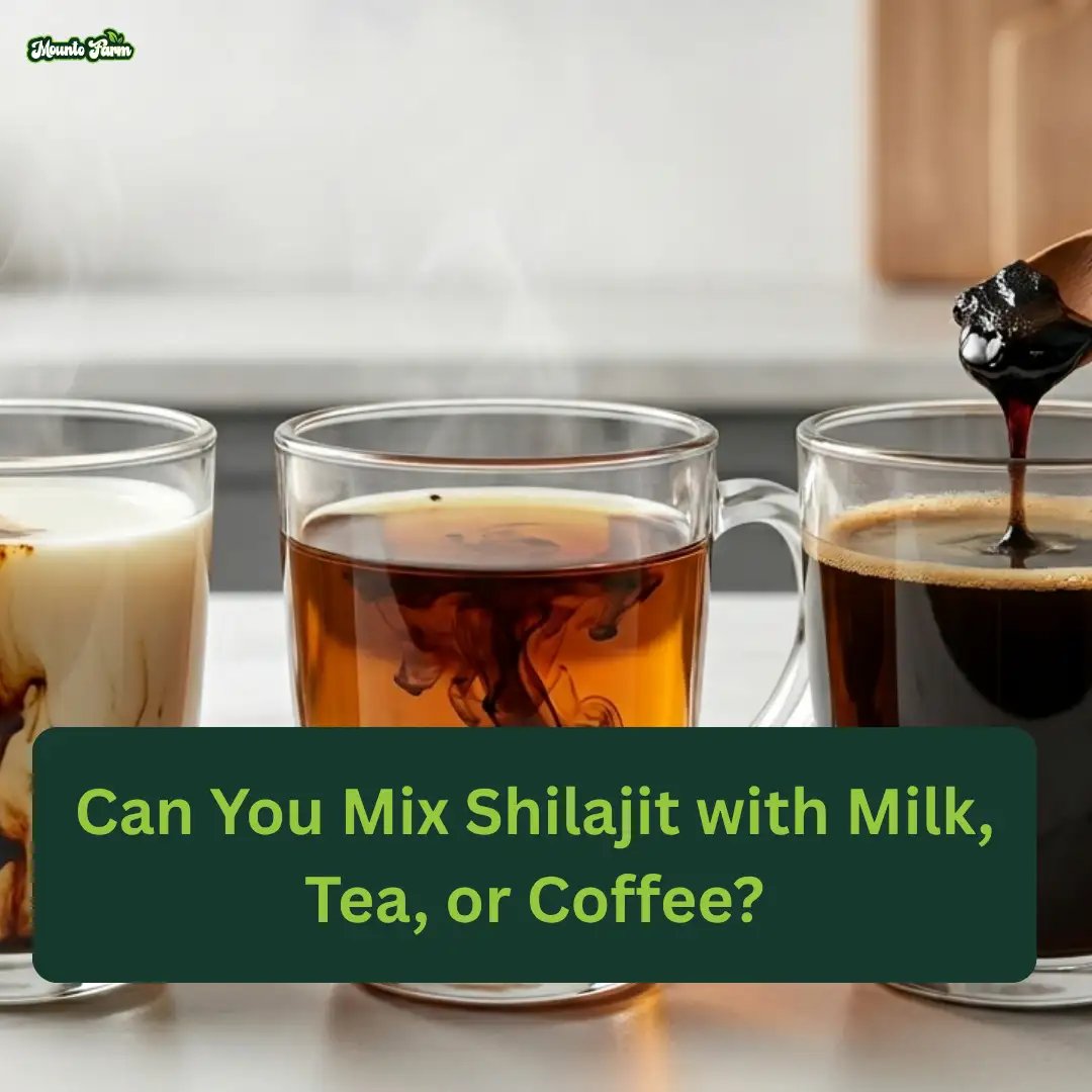 Can You Mix Shilajit with Milk, Tea, or Coffee
