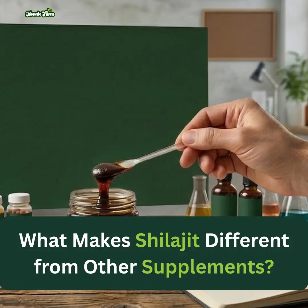 Shilajit vs Supplements