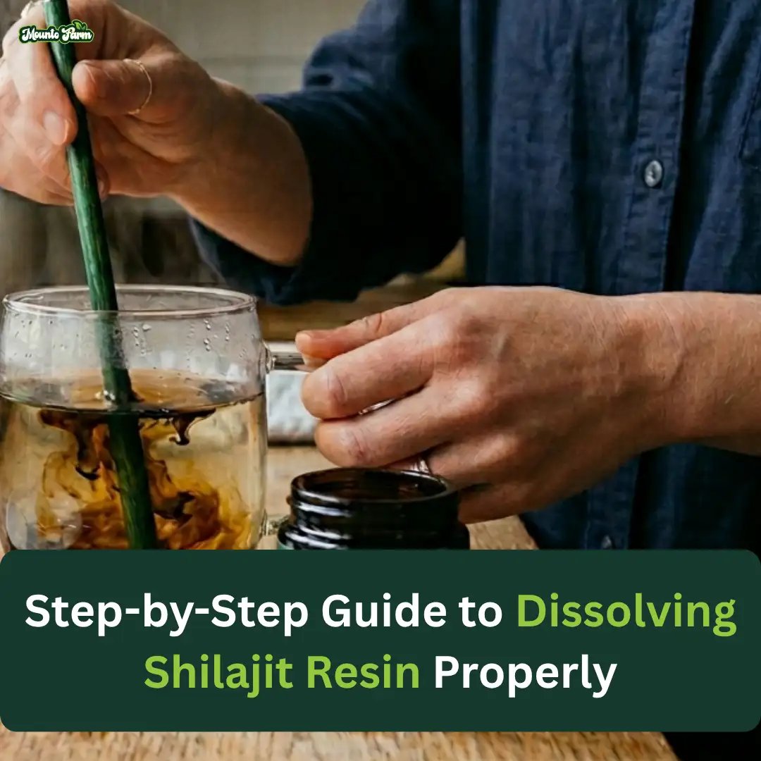 Dissolving Shilajit Resin