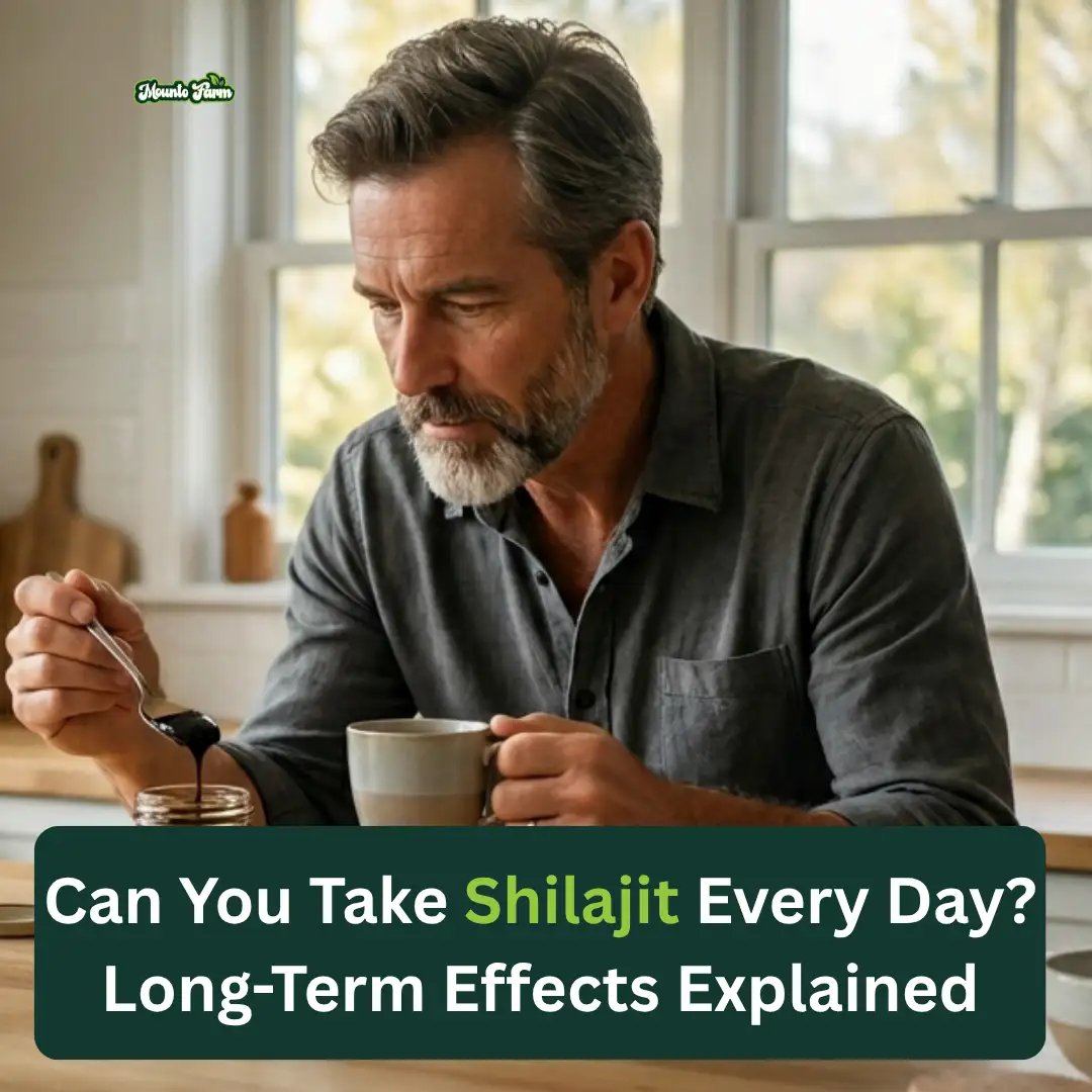 Shilajit Daily Use Benefits