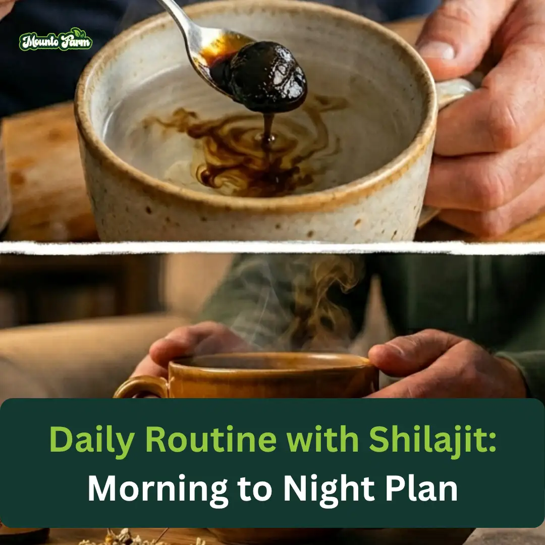 Daily Routine with Shilajit