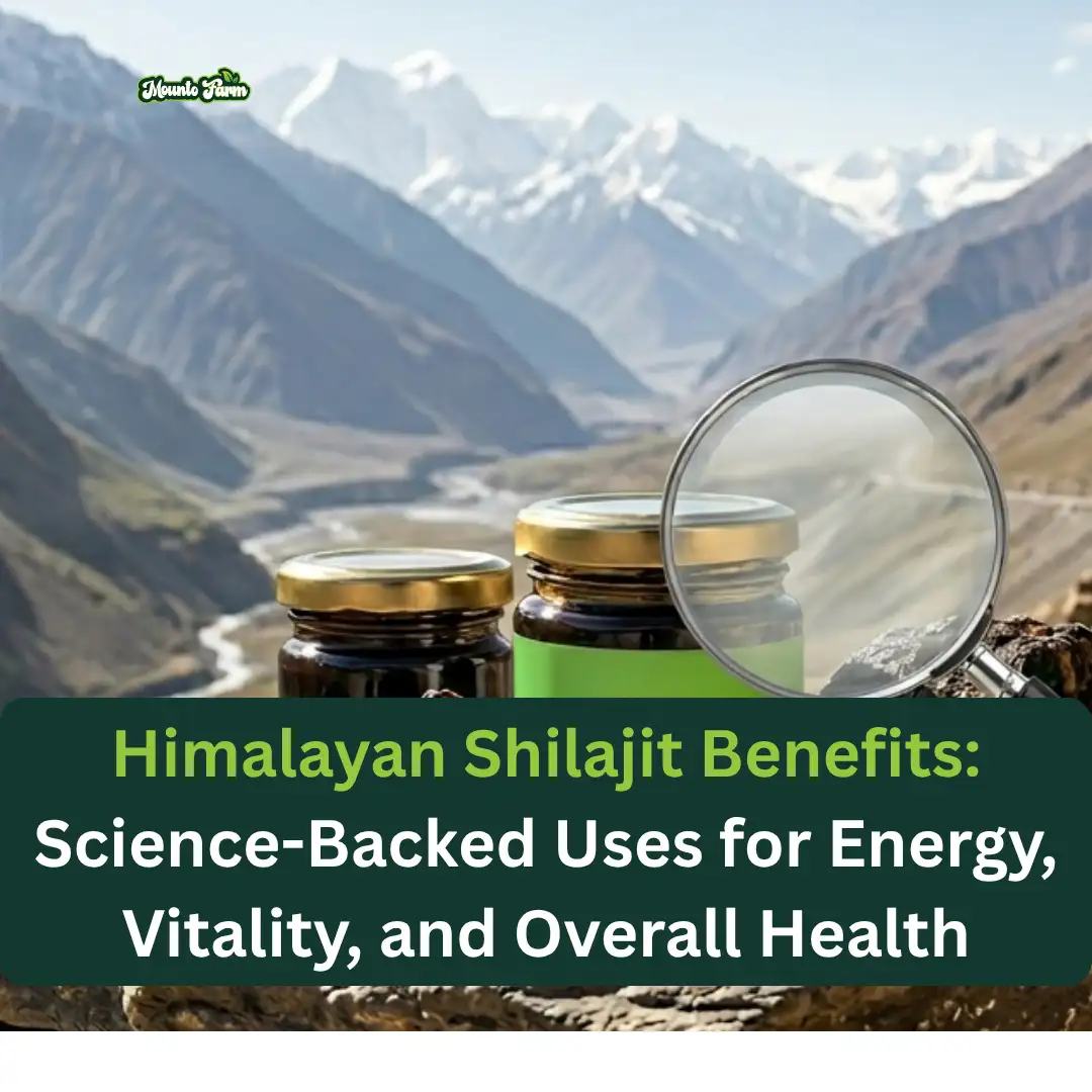 Himalayan Shilajit Benefits