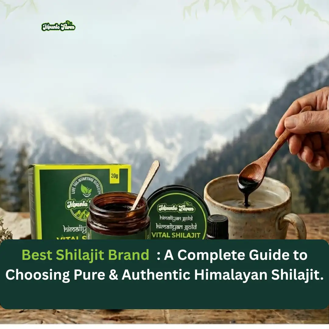 Best Shilajit Brands