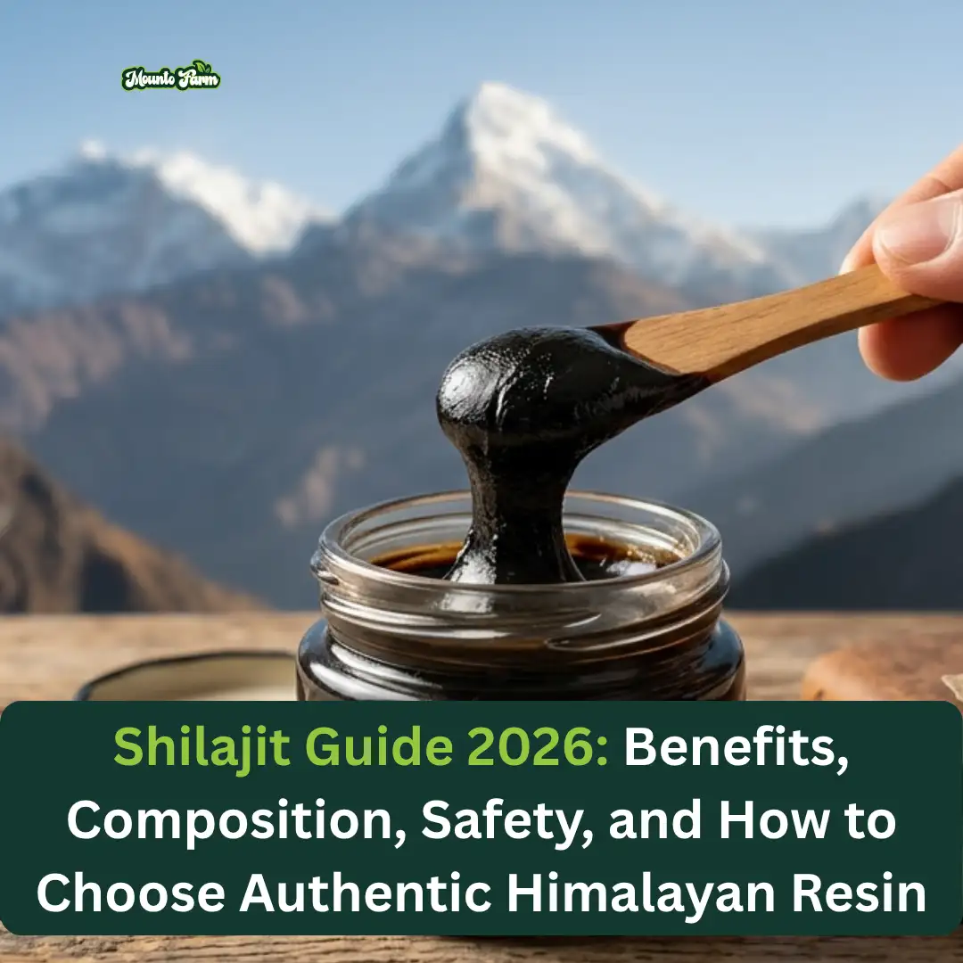 Shilajit Guide 2026