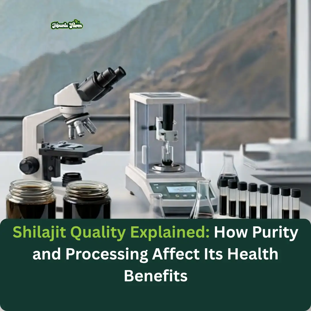 Shilajit Quality Explained