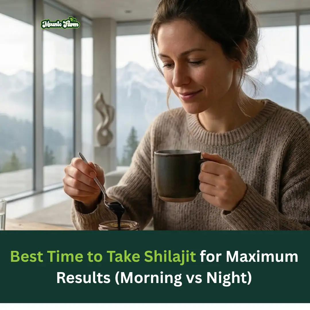 Read more about the article Best Time to Take Shilajit for Maximum Results (Morning vs Night)