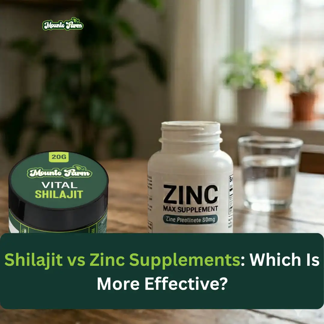 Shilajit vs Zinc Supplements