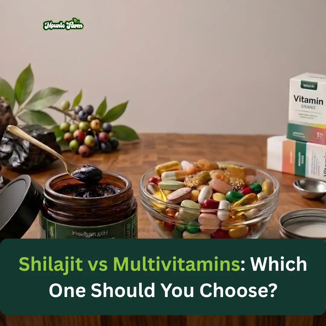 Shilajit vs Multivitamins