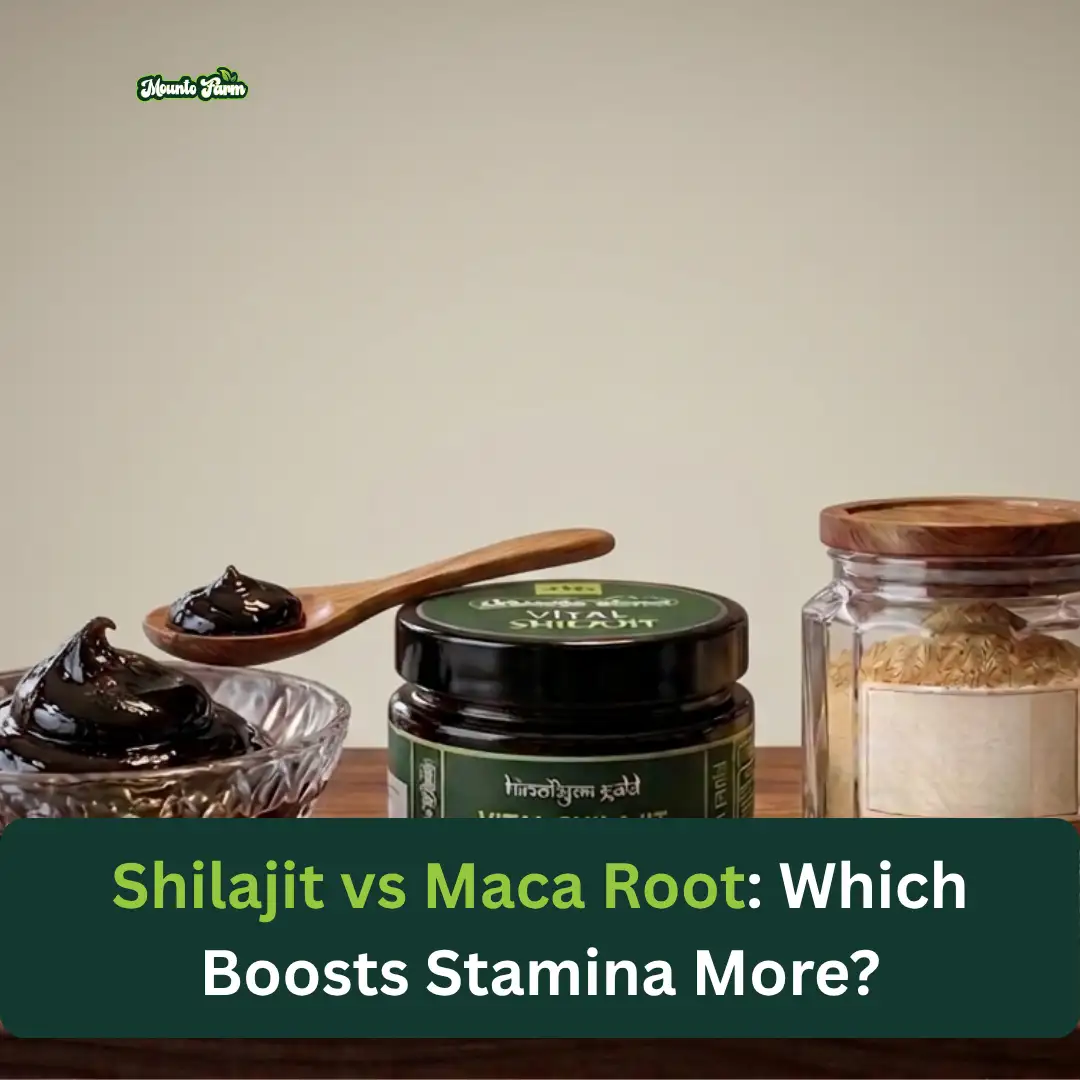 Read more about the article Shilajit vs Maca Root: Which Boosts Stamina More?