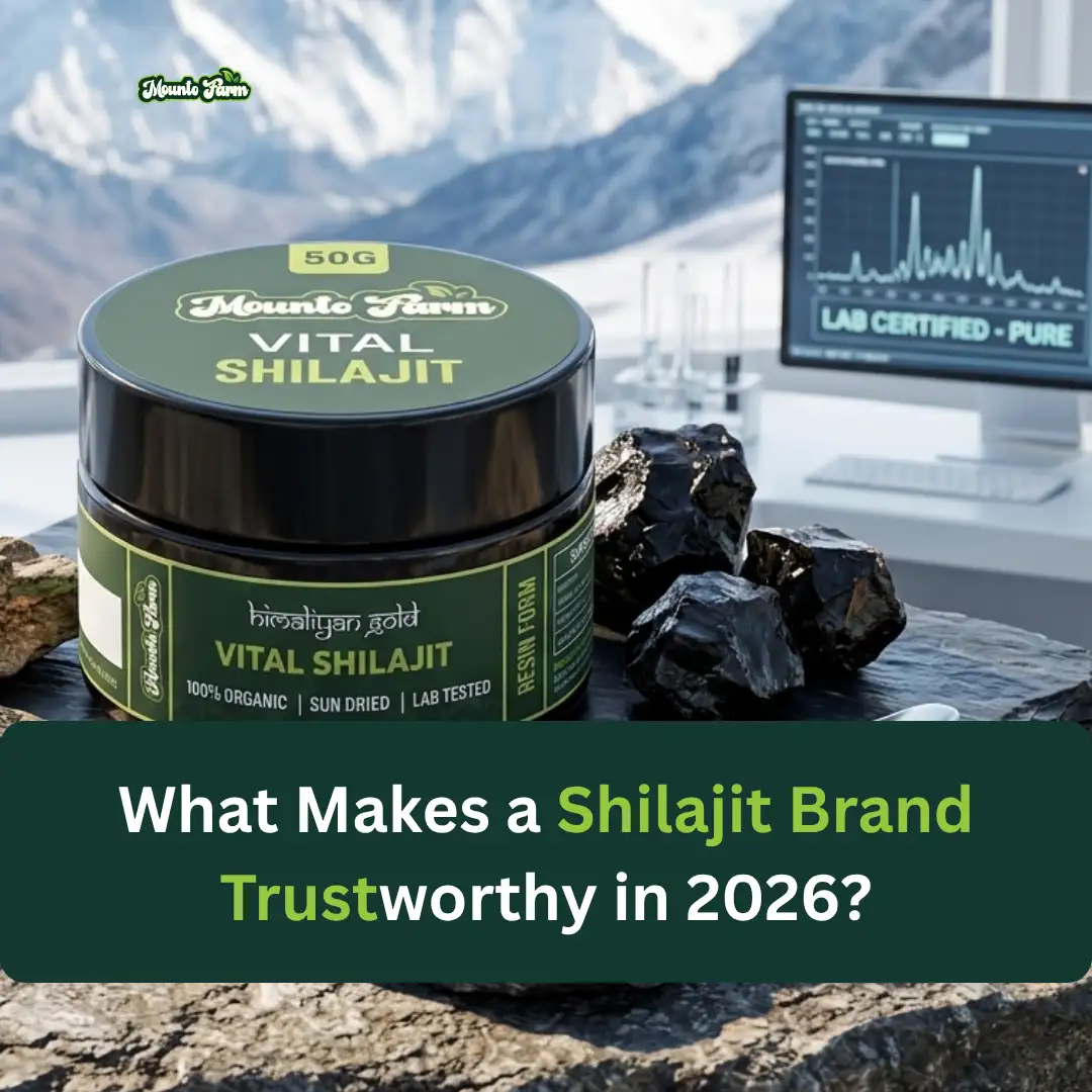 Read more about the article What Makes a Shilajit Brand Trustworthy in 2026?