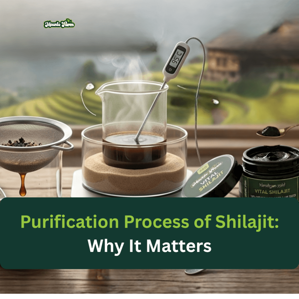 Profication Process Purification Process of Shilajit: 7 Important Facts