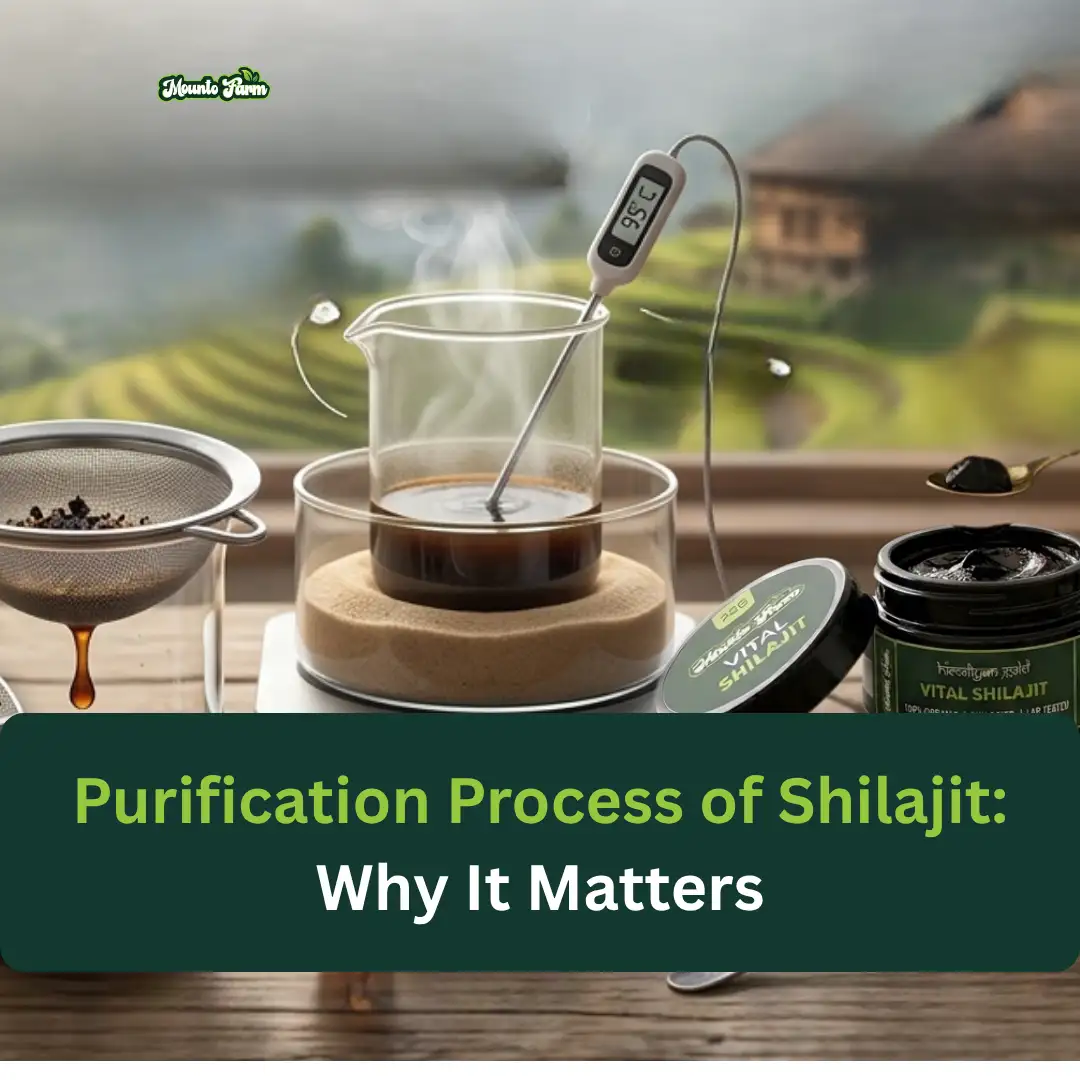 Read more about the article Purification Process of Shilajit: Why It Matters