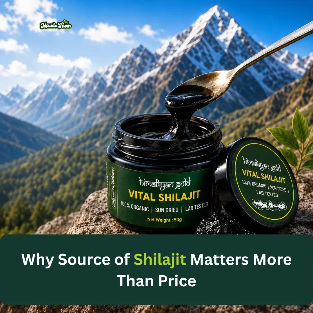 Read more about the article Why Source of Shilajit Matters More Than Price
