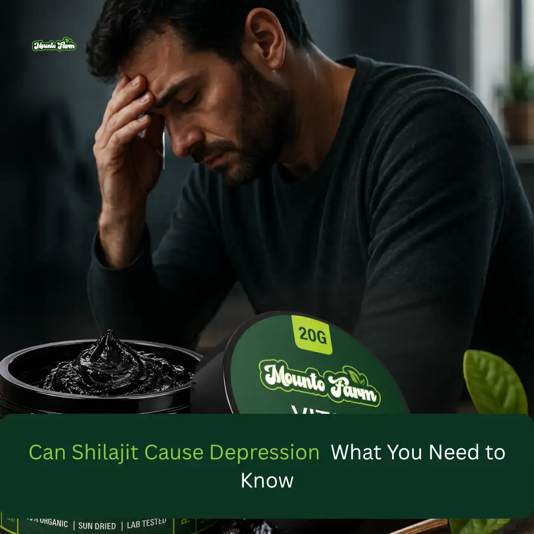 Can Shilajit Cause Depression
