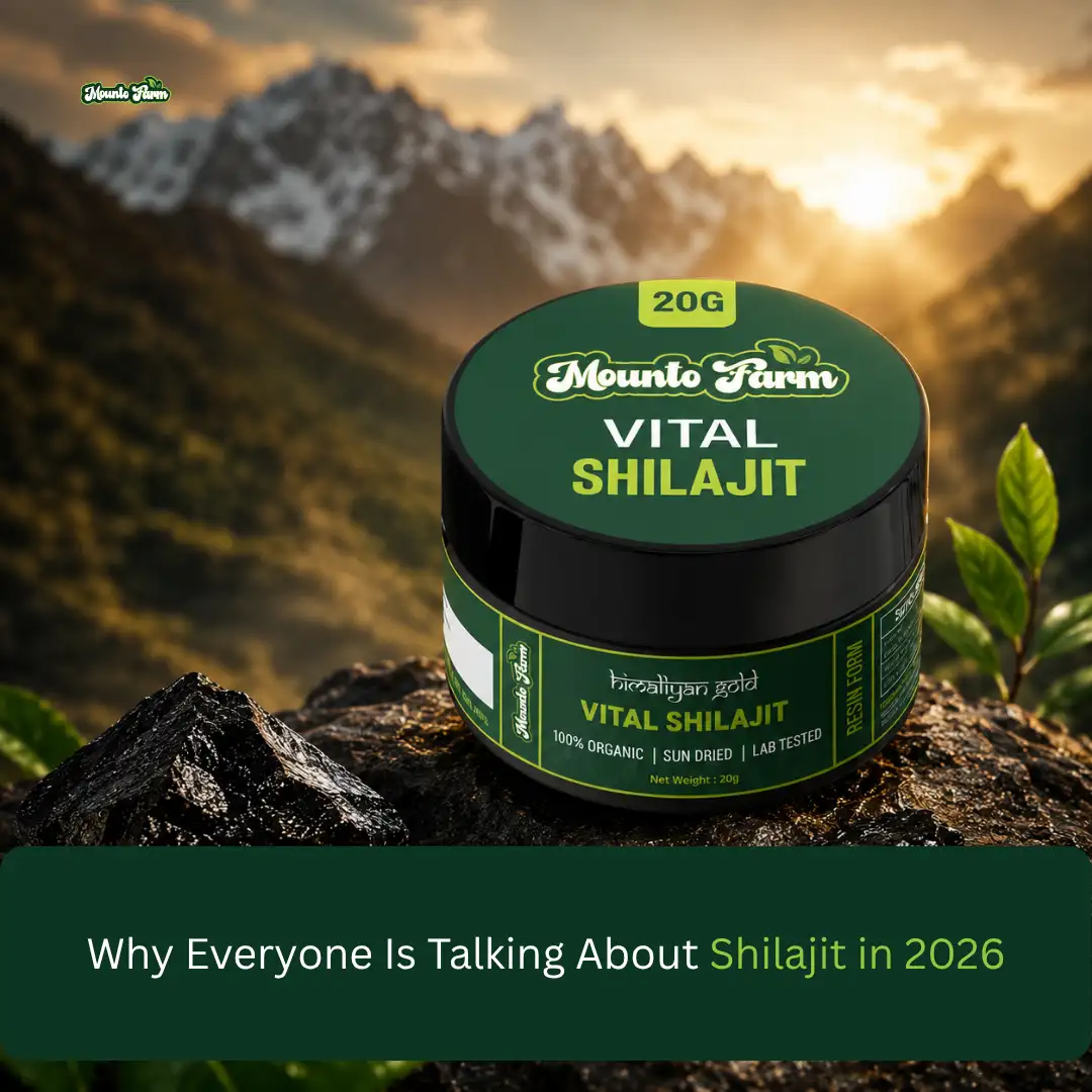 Shilajit in 2026