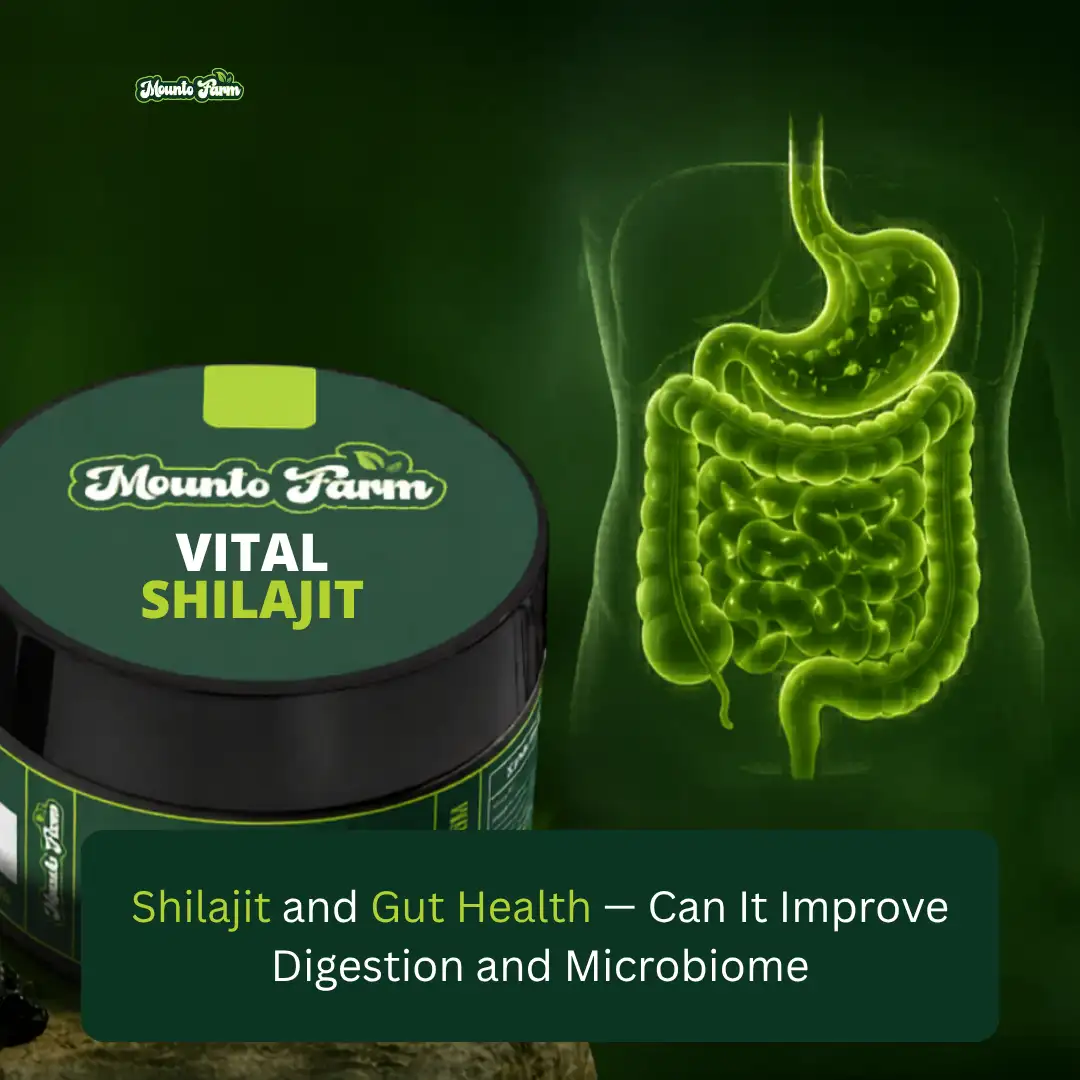 Shilajit for gut health