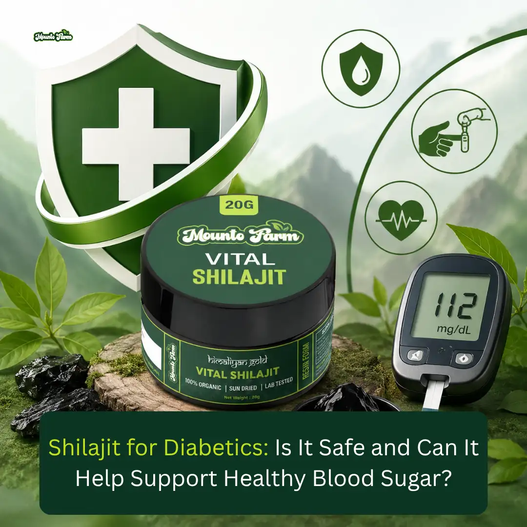 Read more about the article Shilajit for Diabetics: Is It Safe and Can It Help Support Healthy Blood Sugar?