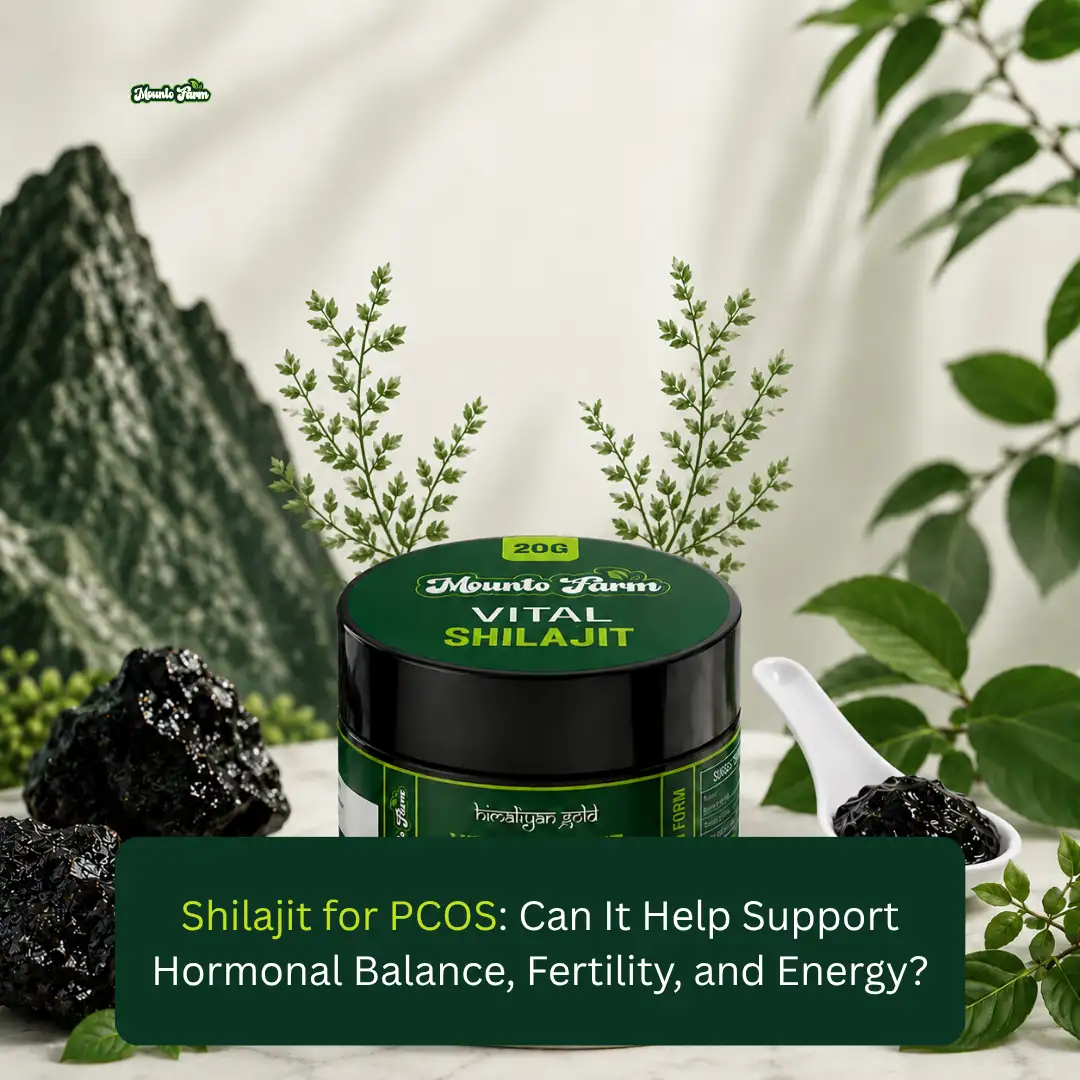 Read more about the article Shilajit for PCOS: Can It Help Support Hormonal Balance, Fertility, and Energy