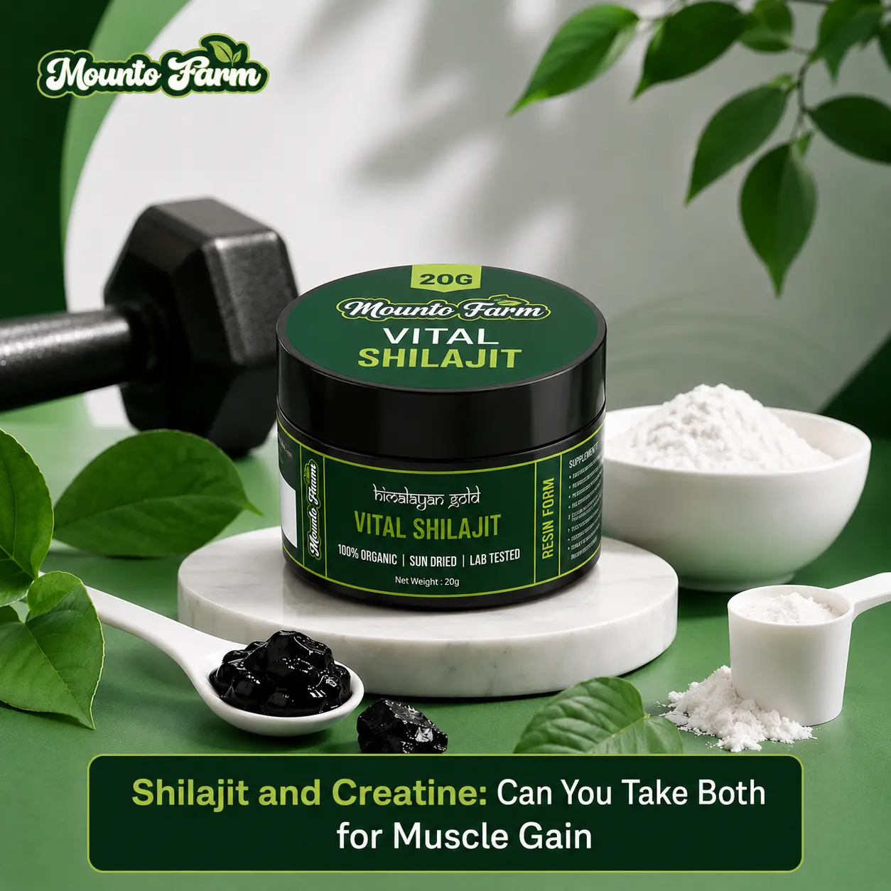 Shilajit and Creatine