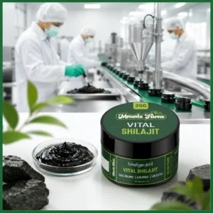 Reliable Shilajit Supplier in Pakistan 