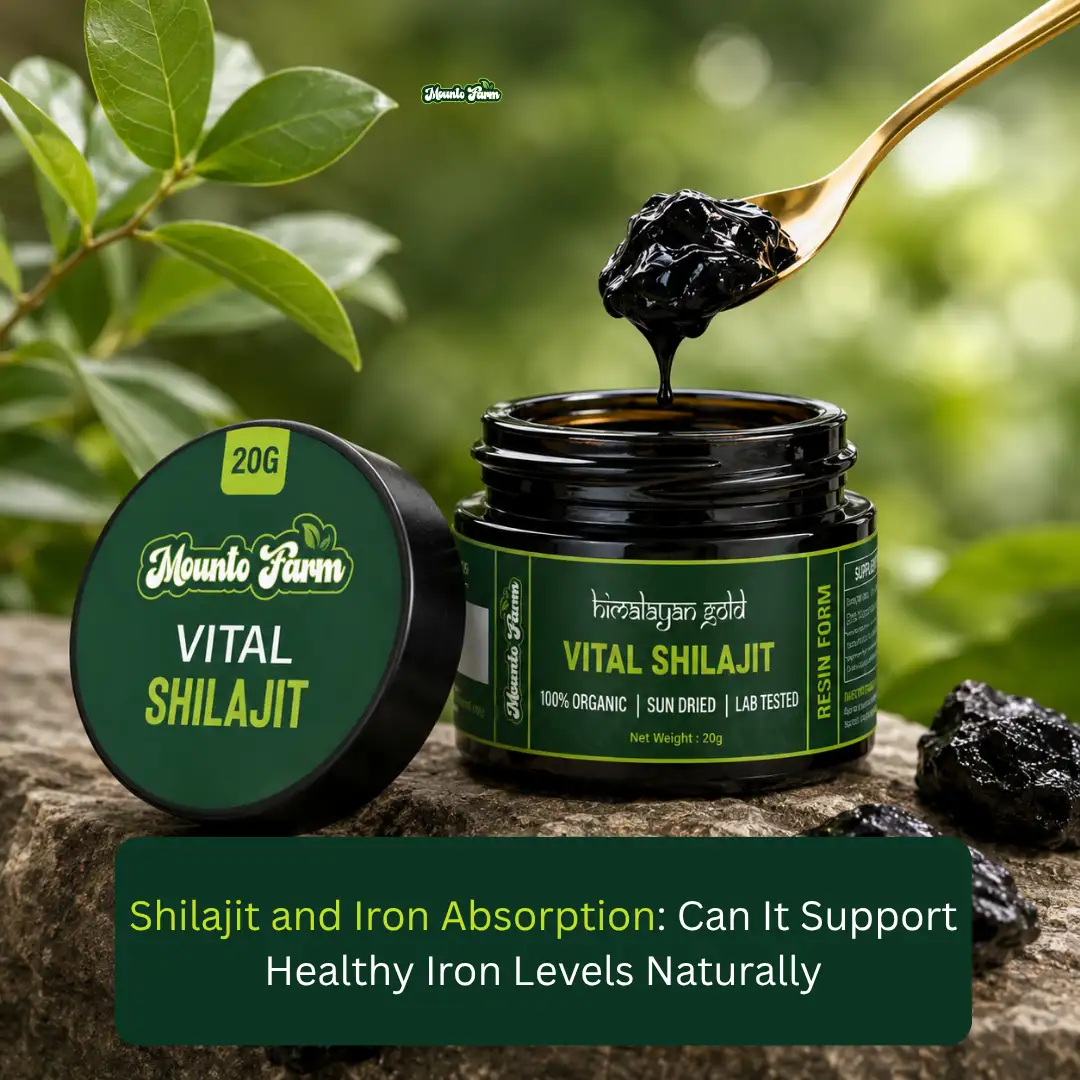 Read more about the article Shilajit and Iron Absorption: Can It Support Healthy Iron Levels Naturally