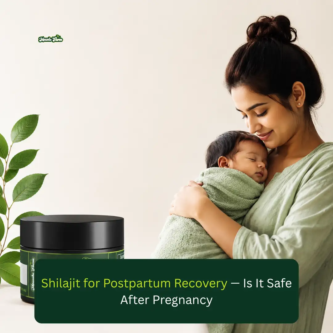 Shilajit for Postpartum Recovery