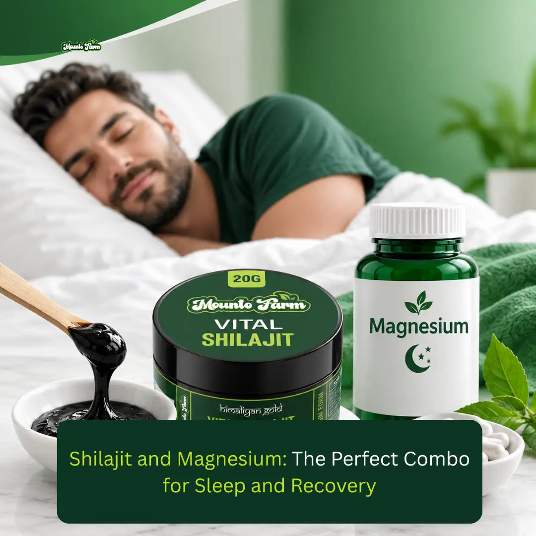 Read more about the article Shilajit and Magnesium: The Perfect Combo for Sleep and Recovery