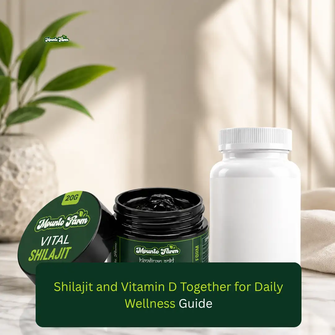 Read more about the article Shilajit and Vitamin D Together for Daily Wellness Guide