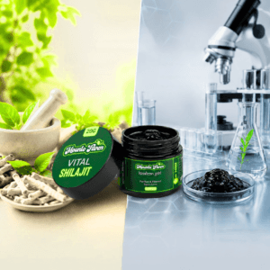 Shilajit in Ayurveda vs Modern Science