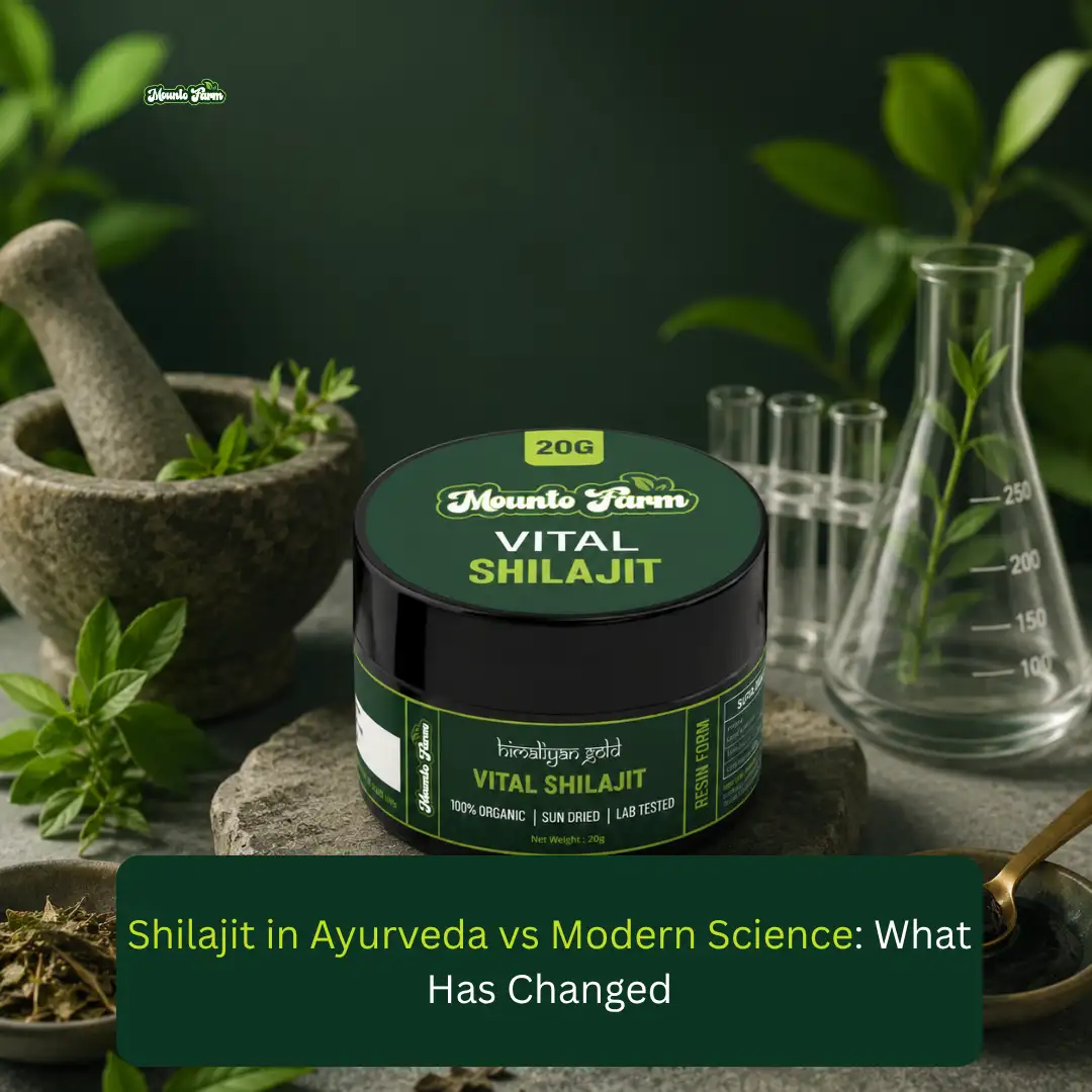 Read more about the article Shilajit in Ayurveda vs Modern Science: What Has Changed