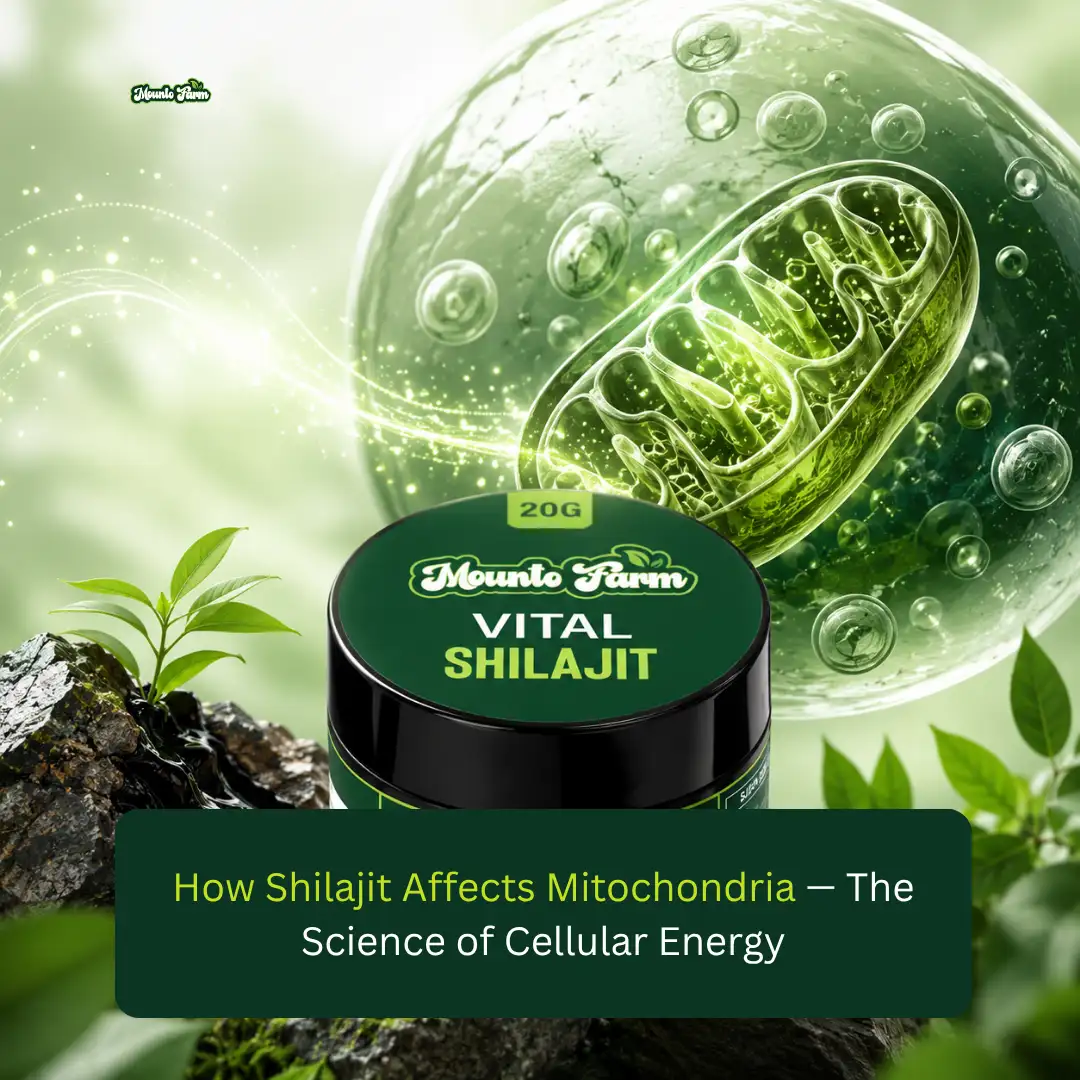 Read more about the article How Shilajit Affects Mitochondria: The Science of Cellular Energy