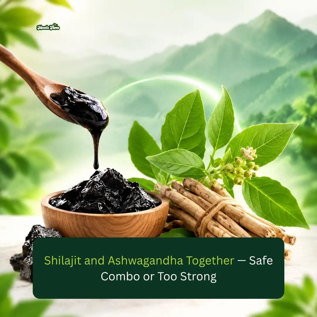 Shilajit and Ashwagandha Together