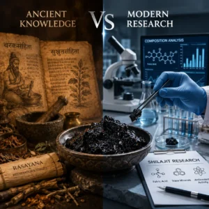 shilajit ancient texts 