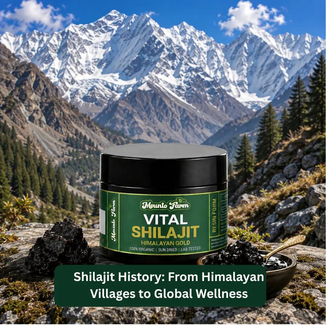 shilajit history