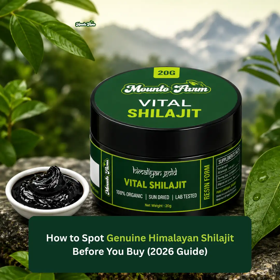 Read more about the article How to Spot Genuine Himalayan Shilajit Before You Buy (2026 Guide)