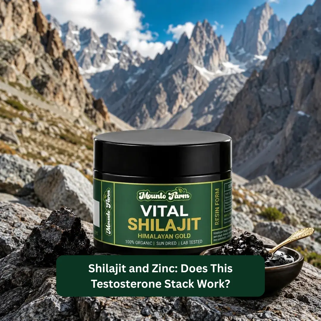 Read more about the article Shilajit and Zinc: Does This Testosterone Stack Work?