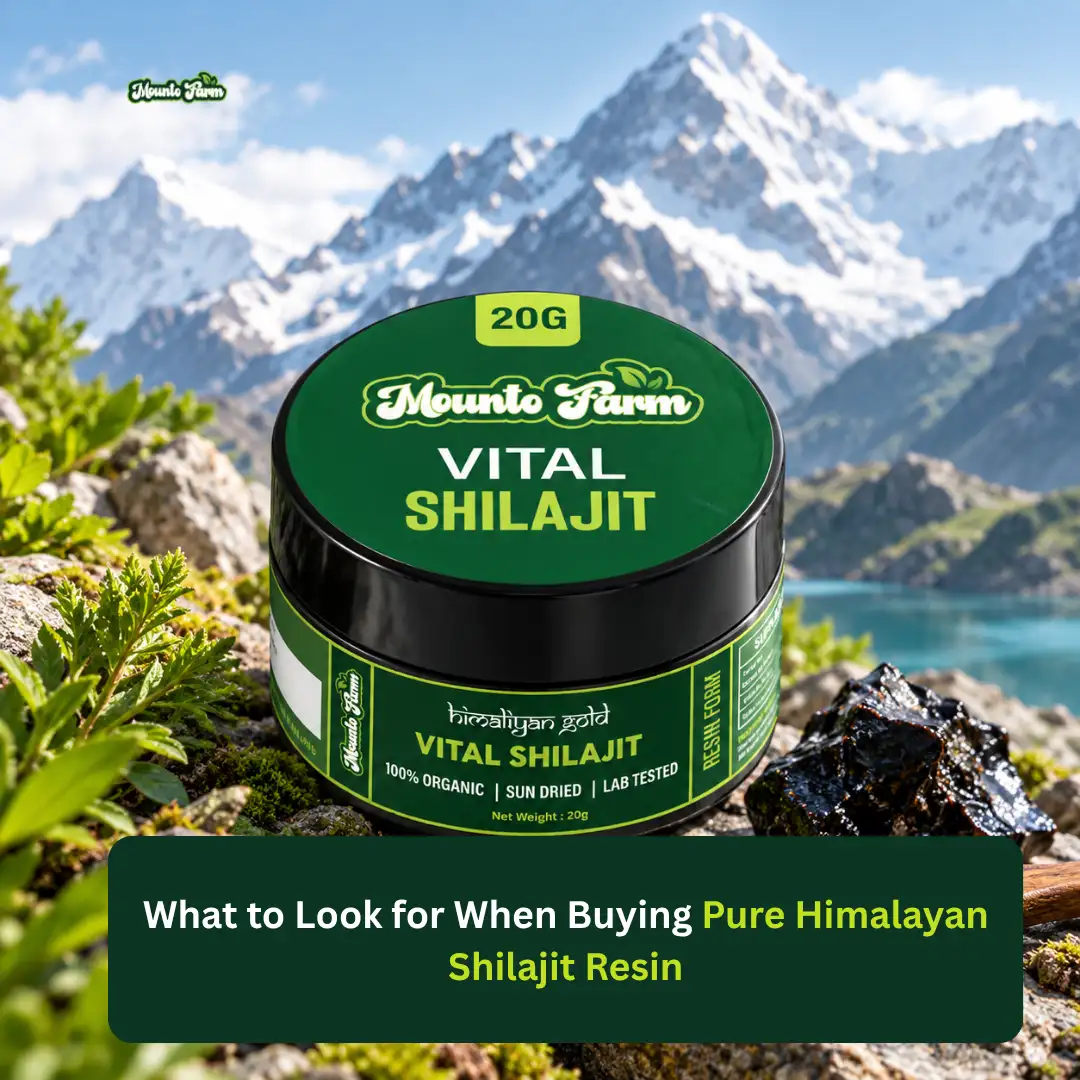 Pure Himalayan Shilajit Resin