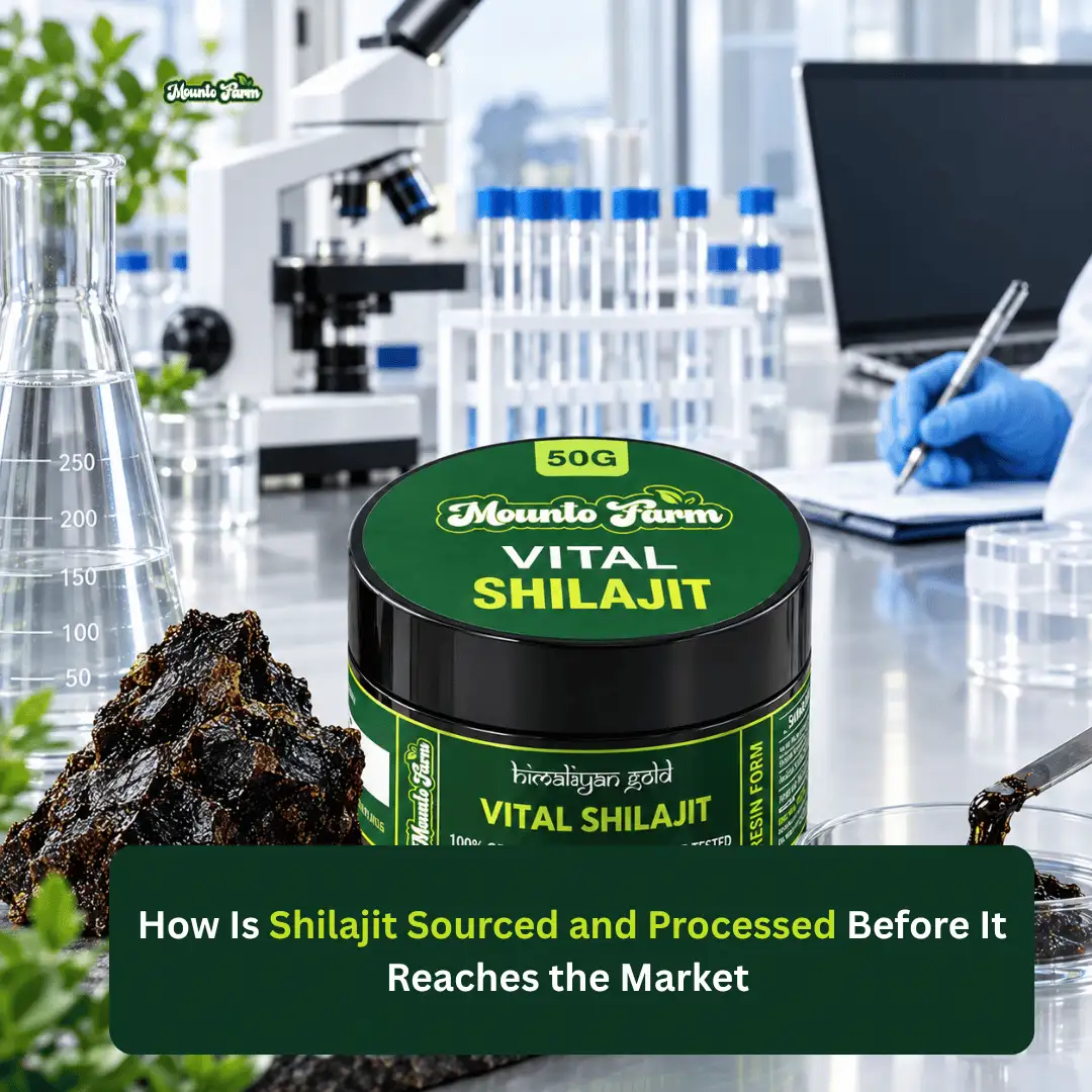 Shilajit Sourcing and Processing