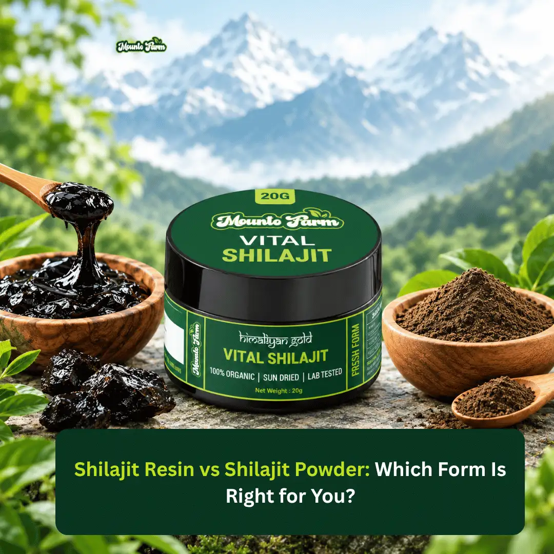 Shilajit resin vs Shilajit powder